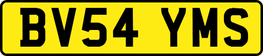 BV54YMS