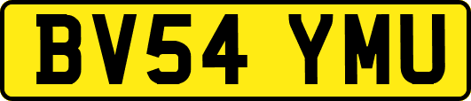 BV54YMU