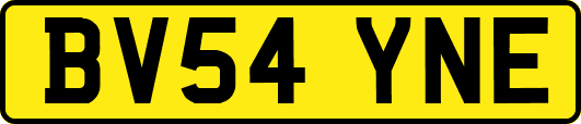 BV54YNE