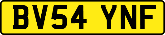 BV54YNF