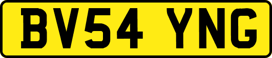 BV54YNG