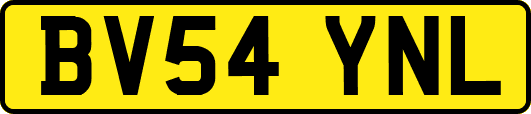BV54YNL