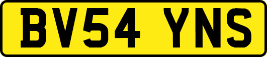 BV54YNS