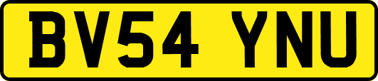 BV54YNU