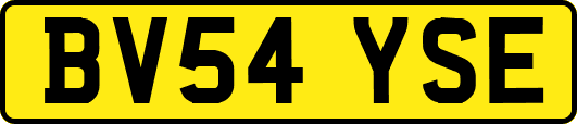 BV54YSE