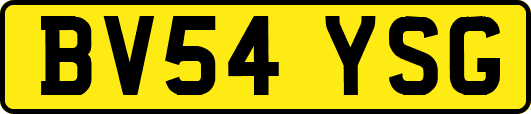 BV54YSG