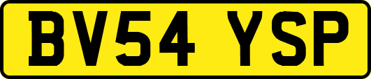BV54YSP