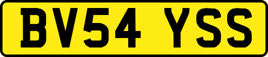 BV54YSS