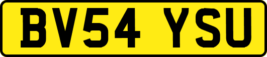 BV54YSU