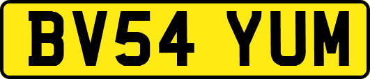 BV54YUM
