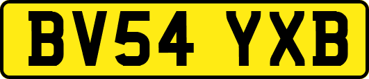BV54YXB