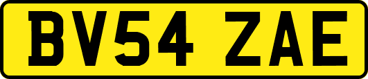BV54ZAE