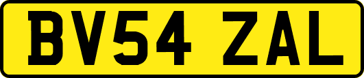 BV54ZAL