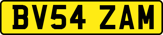BV54ZAM