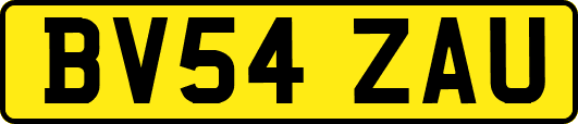 BV54ZAU