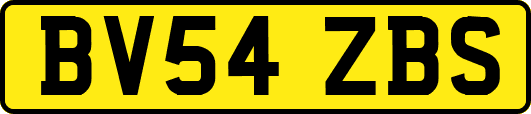 BV54ZBS