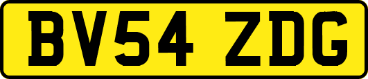 BV54ZDG