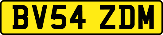 BV54ZDM