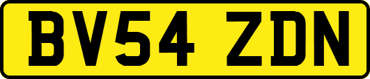 BV54ZDN