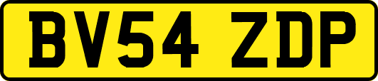 BV54ZDP