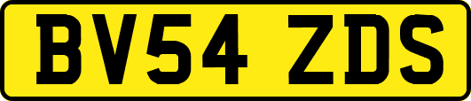 BV54ZDS