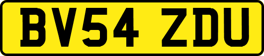 BV54ZDU
