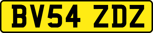 BV54ZDZ