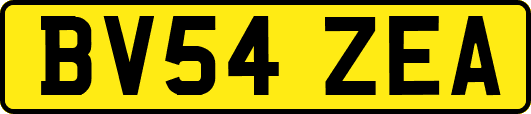 BV54ZEA