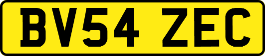 BV54ZEC