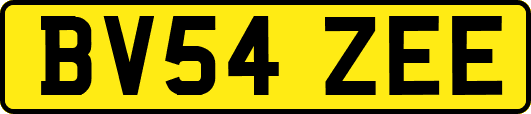 BV54ZEE