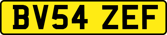 BV54ZEF