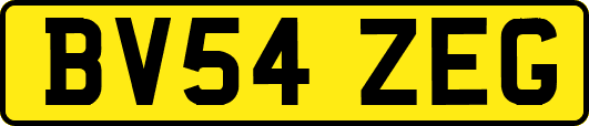 BV54ZEG