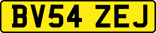 BV54ZEJ