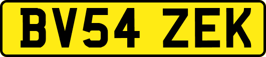 BV54ZEK