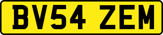 BV54ZEM