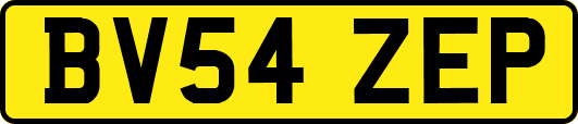 BV54ZEP
