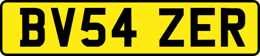 BV54ZER