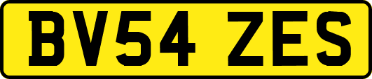 BV54ZES