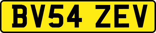 BV54ZEV