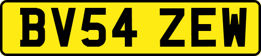 BV54ZEW