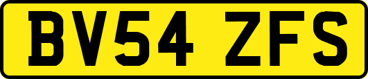 BV54ZFS