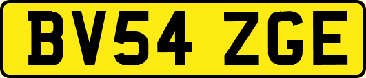 BV54ZGE