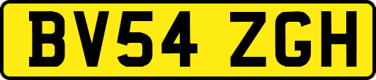 BV54ZGH