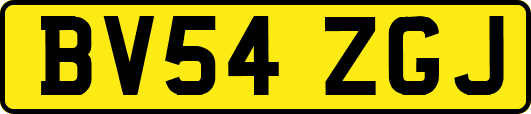 BV54ZGJ
