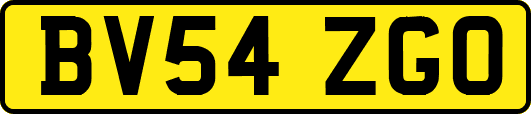 BV54ZGO
