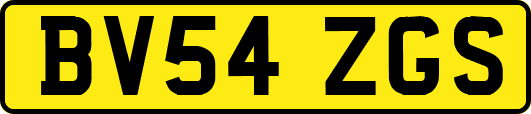 BV54ZGS