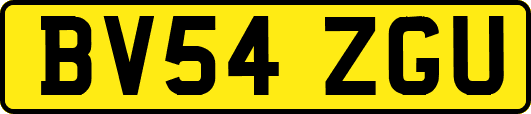 BV54ZGU