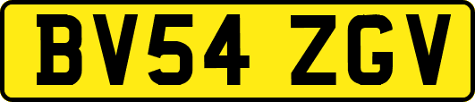 BV54ZGV