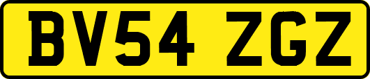 BV54ZGZ