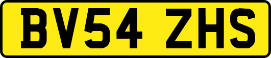 BV54ZHS
